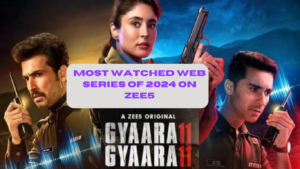 Gyaarah Gyaarah most-watched series of 2024